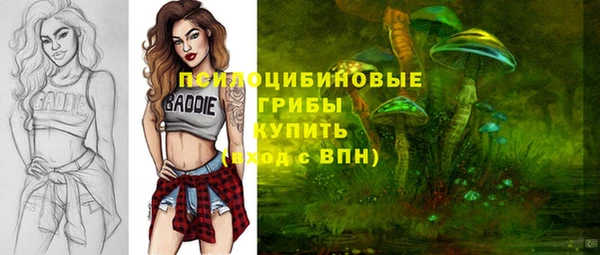 прущий лед Тобольск