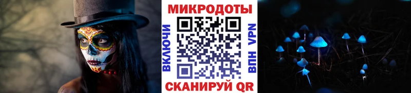 Галлюциногенные грибы Psilocybine cubensis Новотитаровская